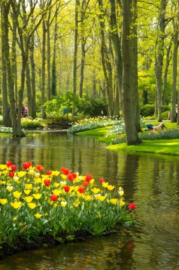laleler Keukenhof Parkı