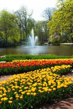 laleler Keukenhof Parkı