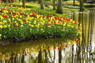 laleler Keukenhof Parkı