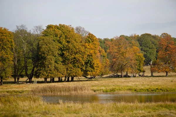 Prachtig meer in dyrehave park, Denemarken — Stockfoto