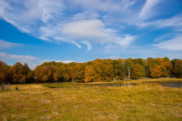 Vackra sjön i dyrehave park, Danmark — Stockfoto