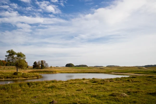 Lindo lago no parque Dyrehave, Dinamarca — Fotografia de Stock