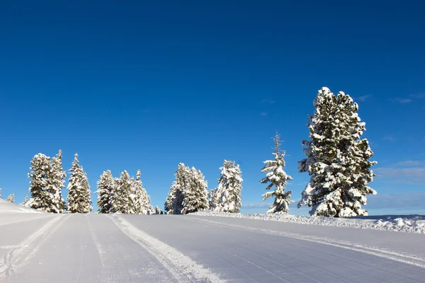 Vintern i Alperna — Stockfoto