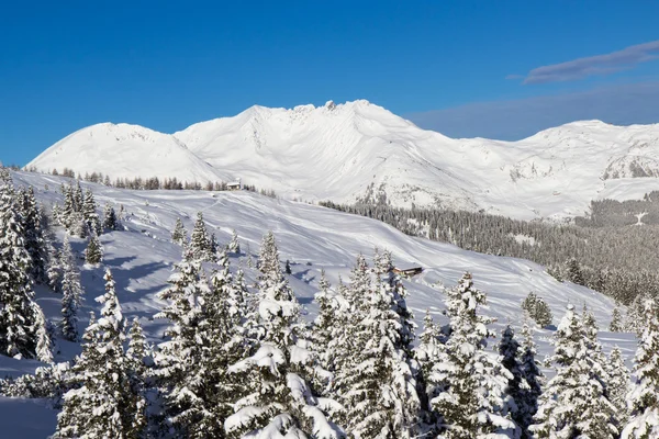 Zima w Alpach — Zdjęcie stockowe