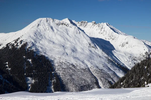 L'hiver dans les Alpes — Photo