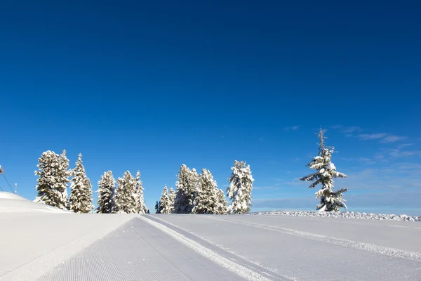 L'hiver dans les Alpes — Photo