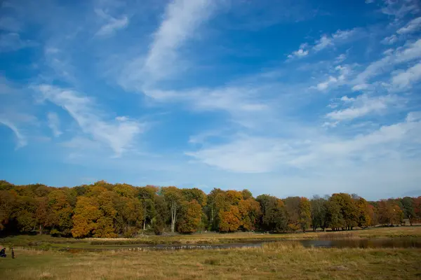 Hermoso otoño dorado — Foto de Stock