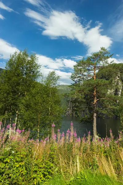 Prachtige natuur van Noorwegen — Stockfoto