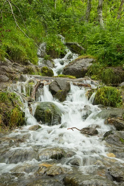 Pequena cachoeira de um fluxo — Fotografia de Stock