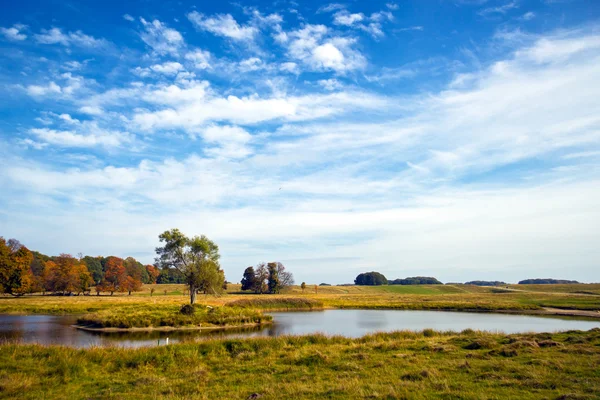 Vackra sjön i dyrehave park, Danmark — Stockfoto