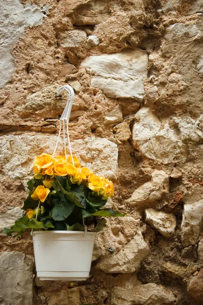 Flowerpot on an old brick wall — Stock Photo, Image