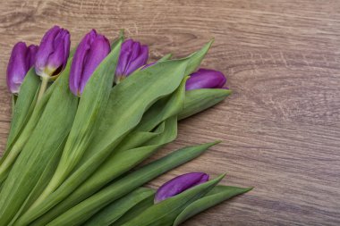 Ahşap arka plan üzerinde mor laleler