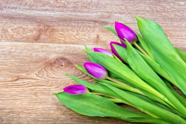 Ahşap arka plan üzerinde mor laleler