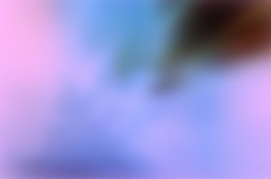 Menekşe arka plan bulanık pembe