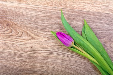 Ahşap arka plan üzerinde mor laleler