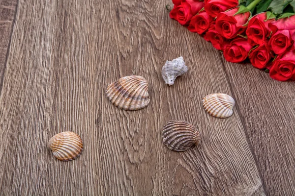 Conchas marinas y rosas sobre fondo de madera — Foto de Stock