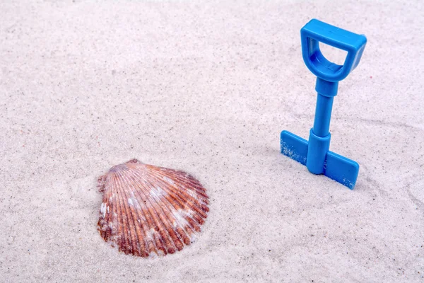 Concha marina y cuchara azul sobre fondo de arena — Foto de Stock
