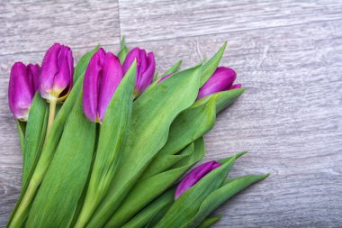 Ahşap arka plan üzerinde mor laleler