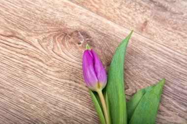 Ahşap arka plan üzerinde Menekşe Lale