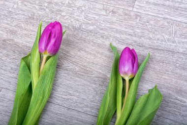 Ahşap arka plan üzerinde mor laleler