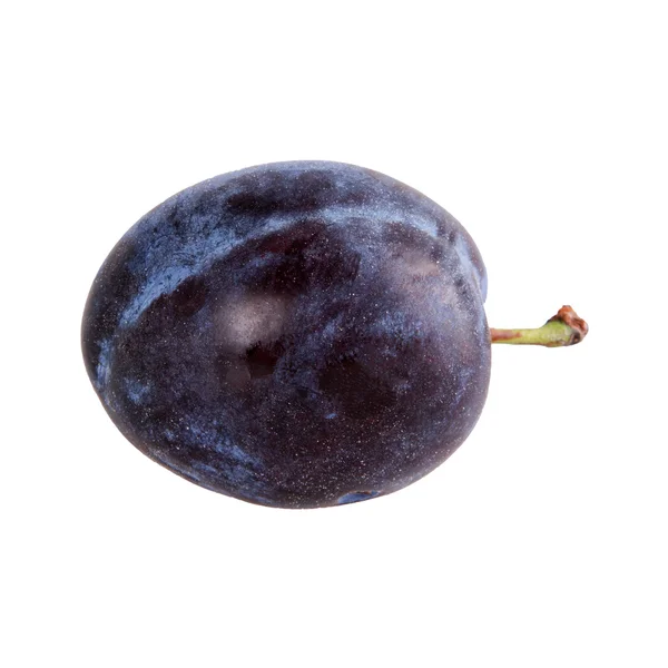 Fresh plum on a white background — Stock Photo, Image