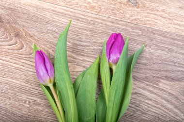 Ahşap arka plan üzerinde mor laleler