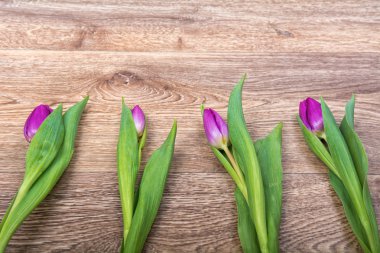 Ahşap arka plan üzerinde mor laleler