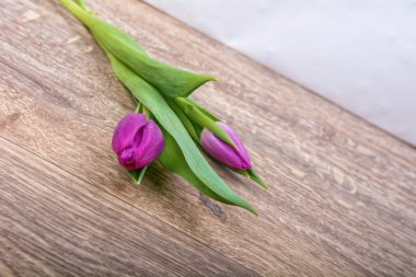 Ahşap arka plan üzerinde mor laleler