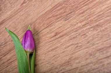 Ahşap arka plan üzerinde Menekşe Lale