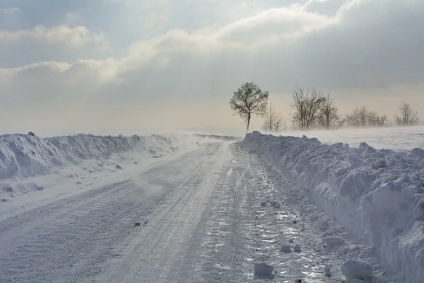 Güçlü Rüzgar kış manzarası — Stok fotoğraf