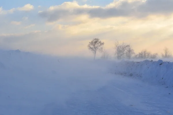 Paesaggio invernale in forte vento — Foto Stock
