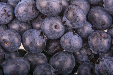 Taze yaban mersini grup arka plan olarak aldı