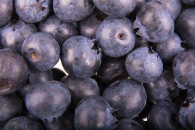 Taze yaban mersini grup arka plan olarak aldı