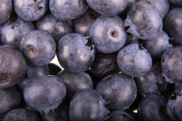 Taze yaban mersini grup arka plan olarak aldı