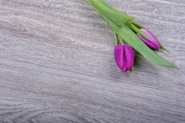 Ahşap arka plan üzerinde iki Lale