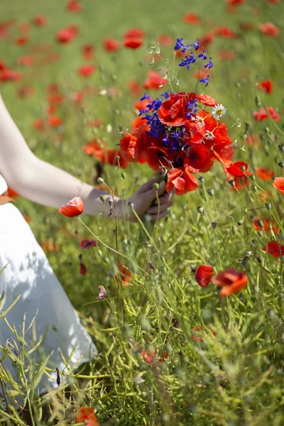 Kobieta z scarlet bukiet na tle pola — Zdjęcie stockowe