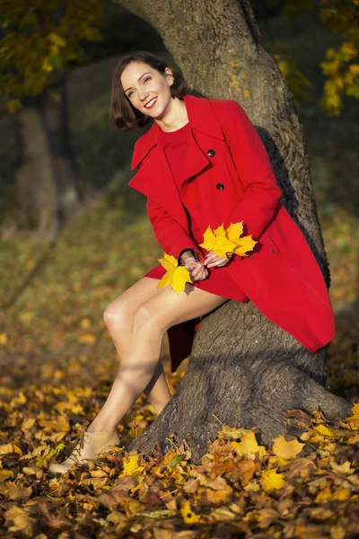 Woman at autumn park hold maple leaves — Stock Photo, Image