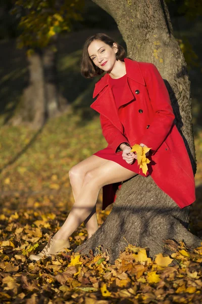 Kvinna på hösten park håller några blad — Stockfoto