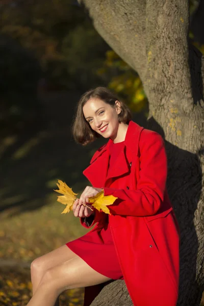 Woman at autumn park and goldy leaves — Stock Photo, Image