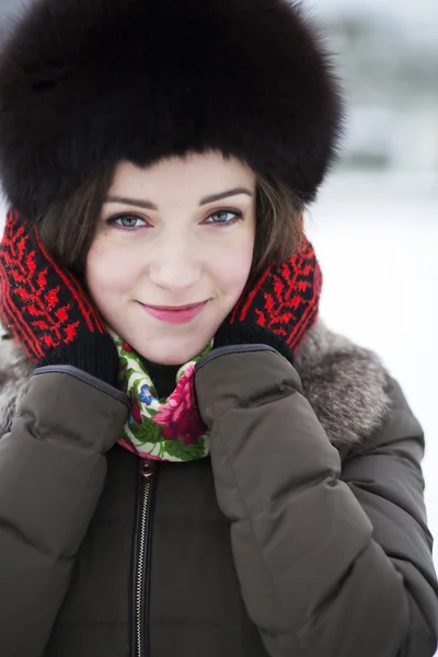 Schönheit an einem frostigen Wintertag — Stockfoto