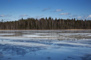 Bahar tanışmak doğasında