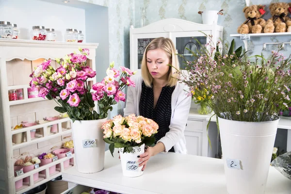 Joven hembra pone el precio de las flores — Foto de Stock