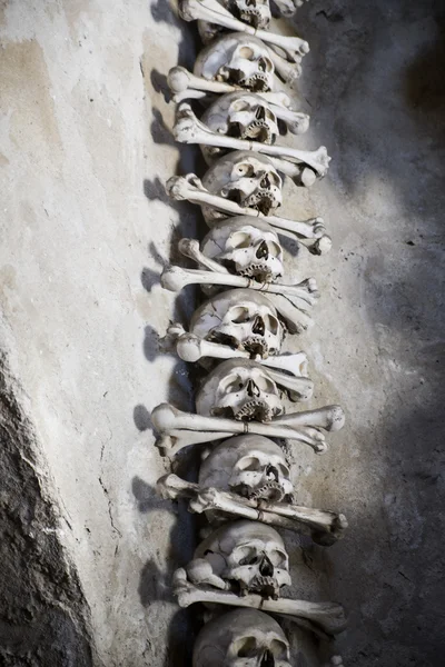 Skulls put together vertically with bones between — Stock Photo, Image