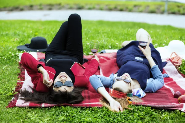 Disfrutando de la vida en el picnic con vino —  Fotos de Stock