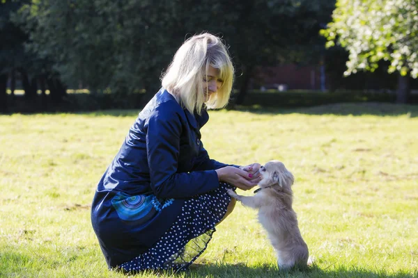 Praising the pet for a good performance — Stock Photo, Image