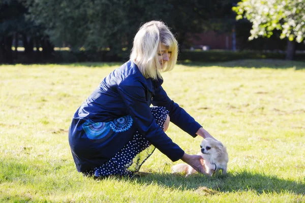 Owner trying to make her friend comfortable — Stock Photo, Image