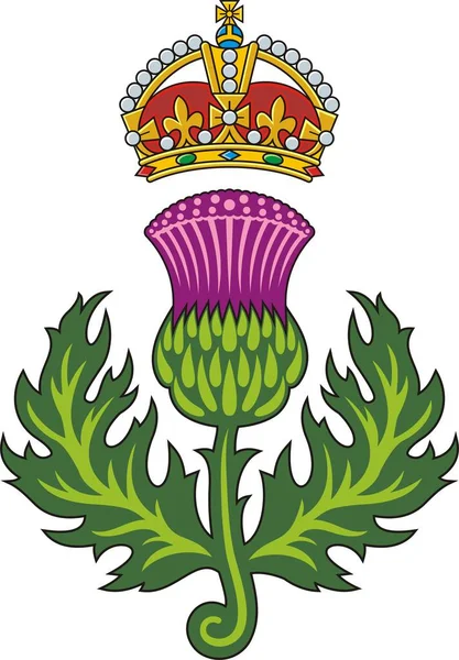 Scottish Thistle Symbol Scotland — Stock Vector