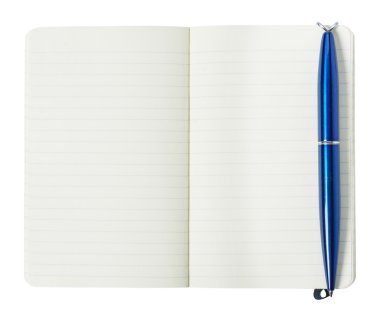 kalem ile günlüğü