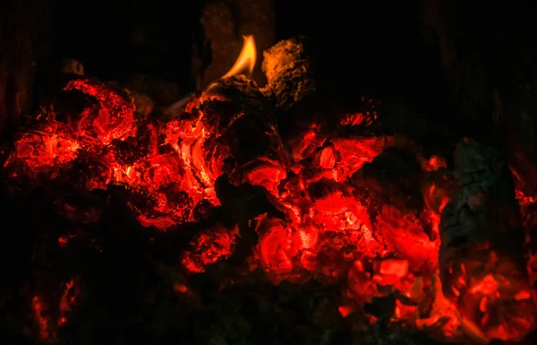 Baumstämme verbrennen — Stockfoto