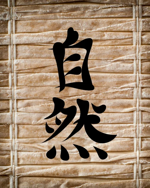 Japanse tekens. Vertaling aard — Stockfoto